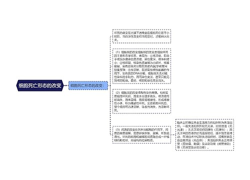 细胞死亡形态的改变