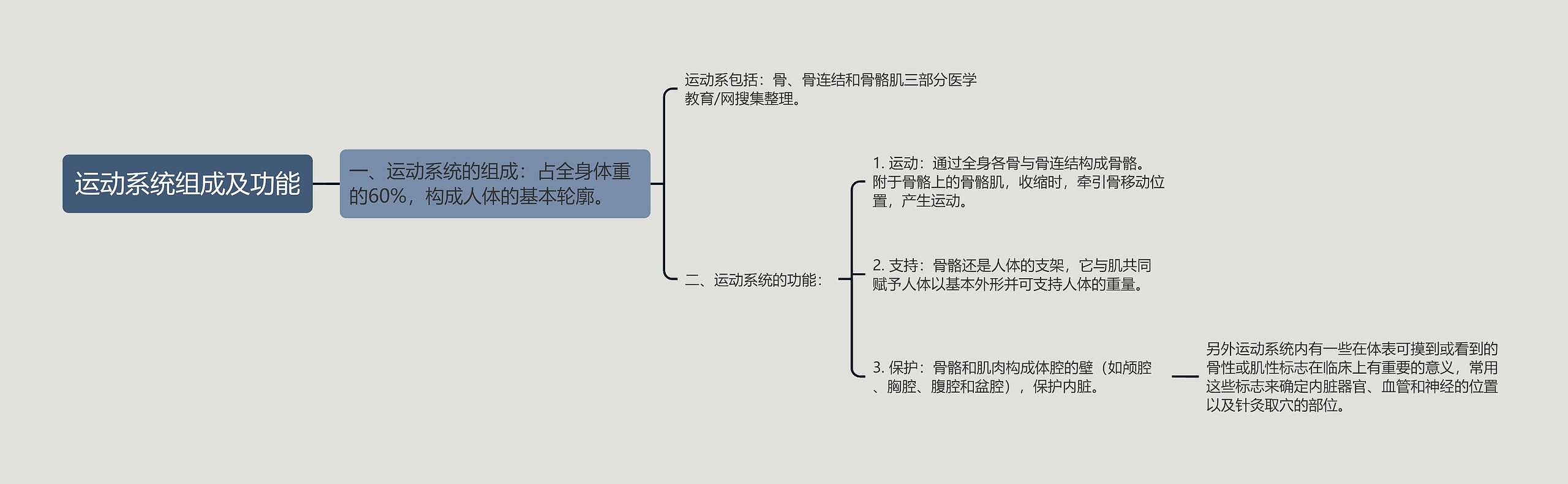 运动系统组成及功能