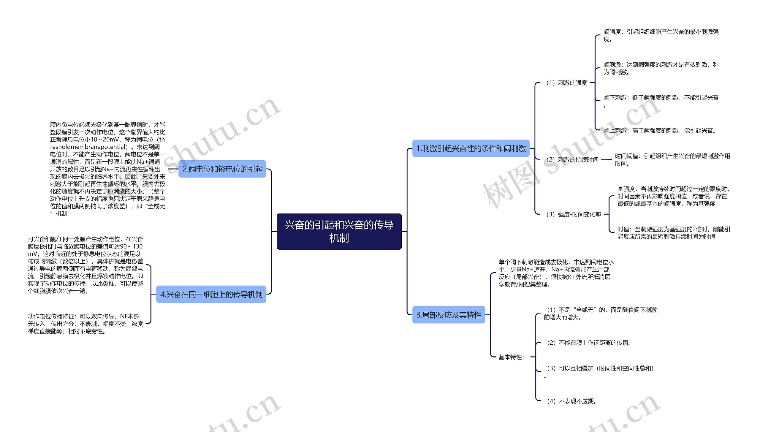 兴奋的引起和兴奋的传导机制思维导图