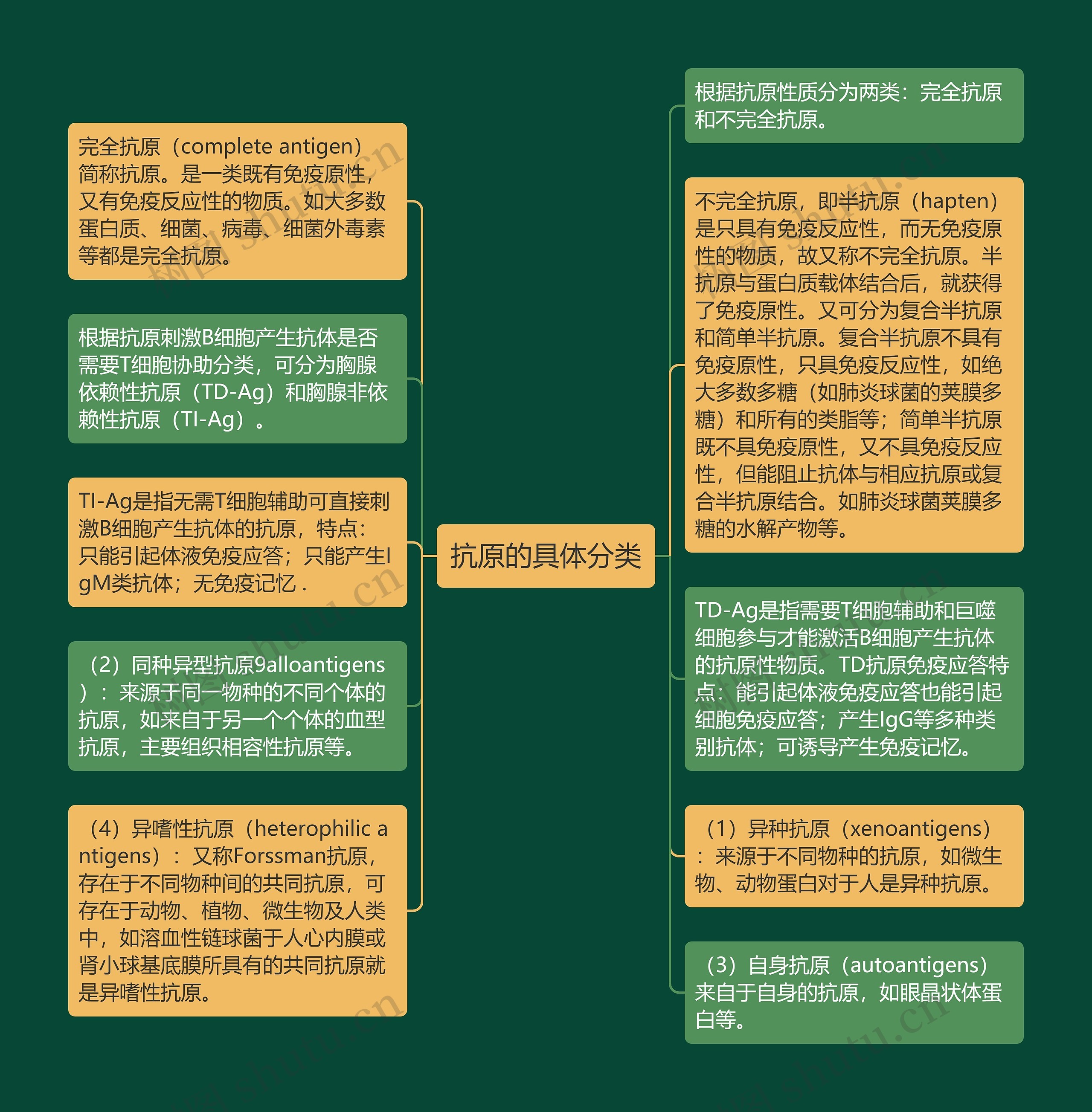 抗原的具体分类思维导图