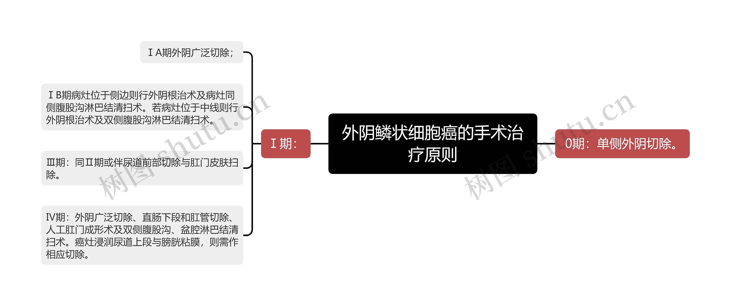 外阴鳞状细胞癌的手术治疗原则