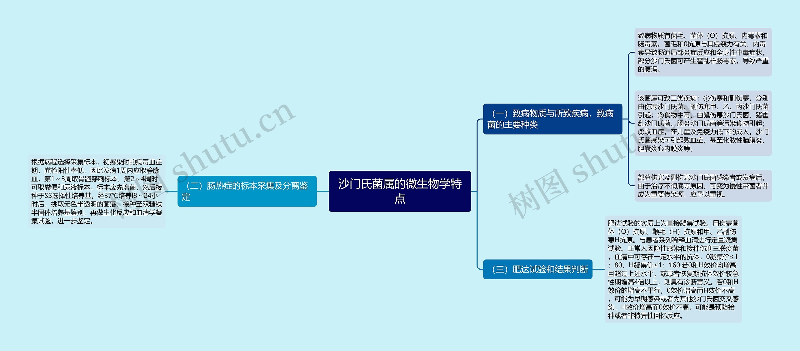 沙门氏菌属的微生物学特点