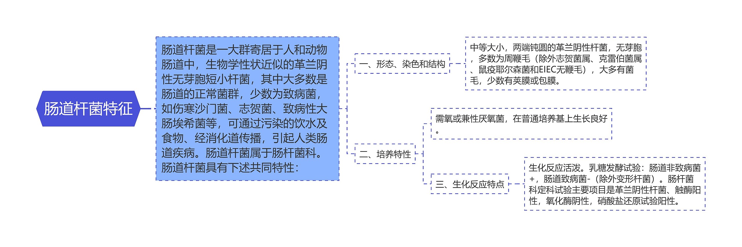 肠道杆菌特征思维导图