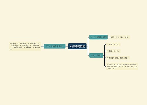 人体结构概述