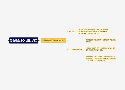 急性感染性心内膜炎病因