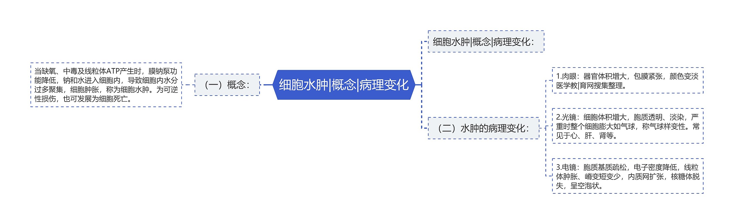 细胞水肿|概念|病理变化思维导图