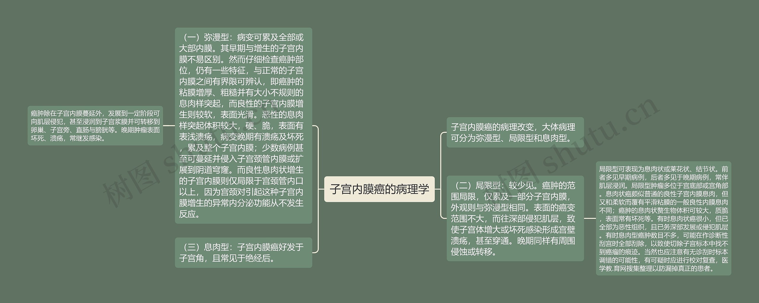 子宫内膜癌的病理学思维导图