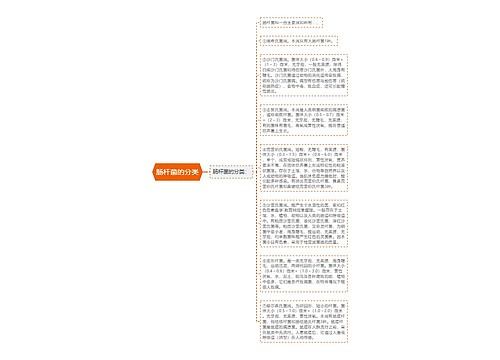 肠杆菌的分类