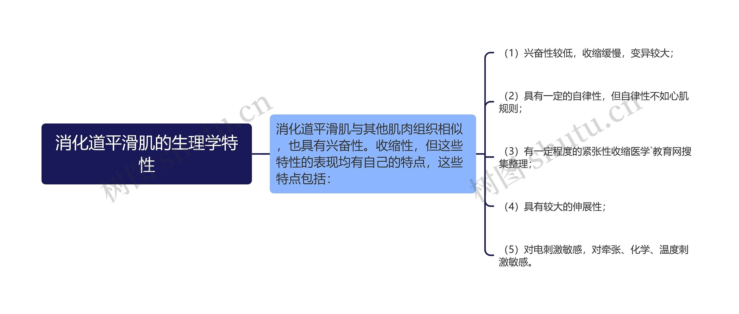 消化道平滑肌的生理学特性思维导图