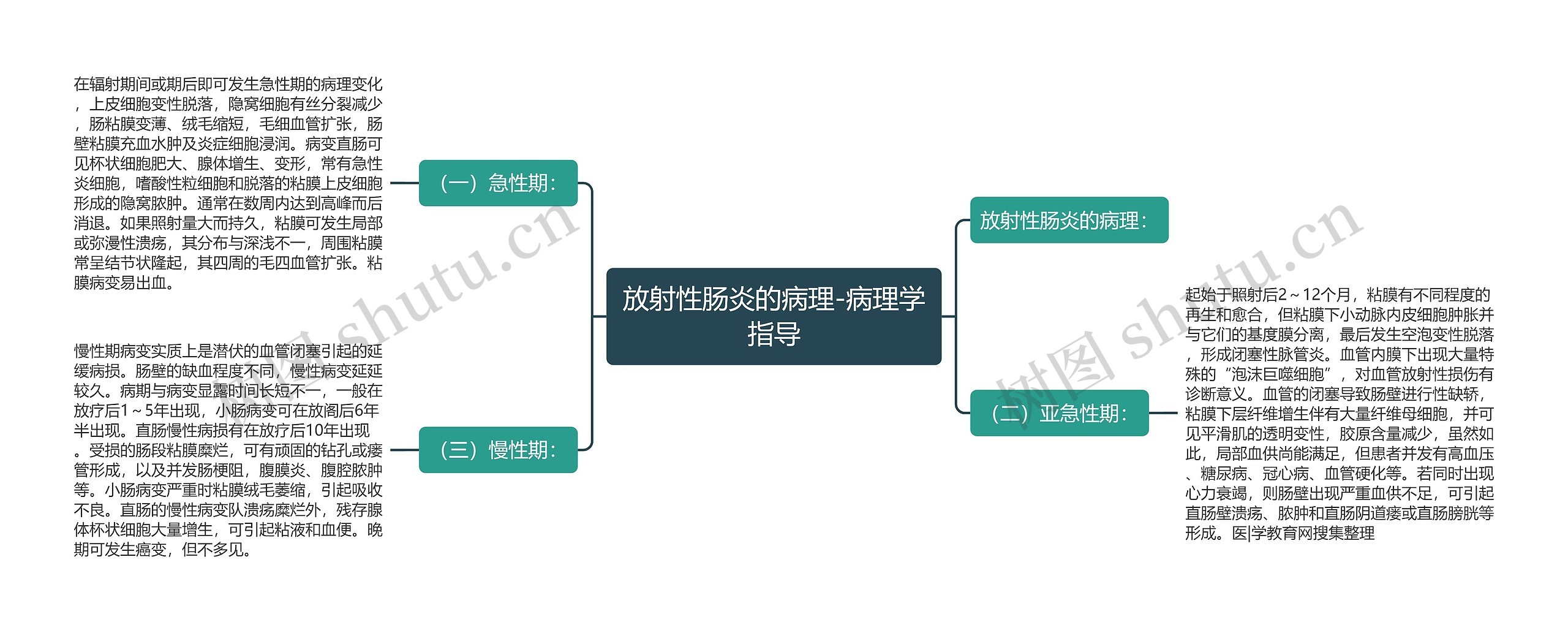 放射性肠炎的病理-病理学指导思维导图