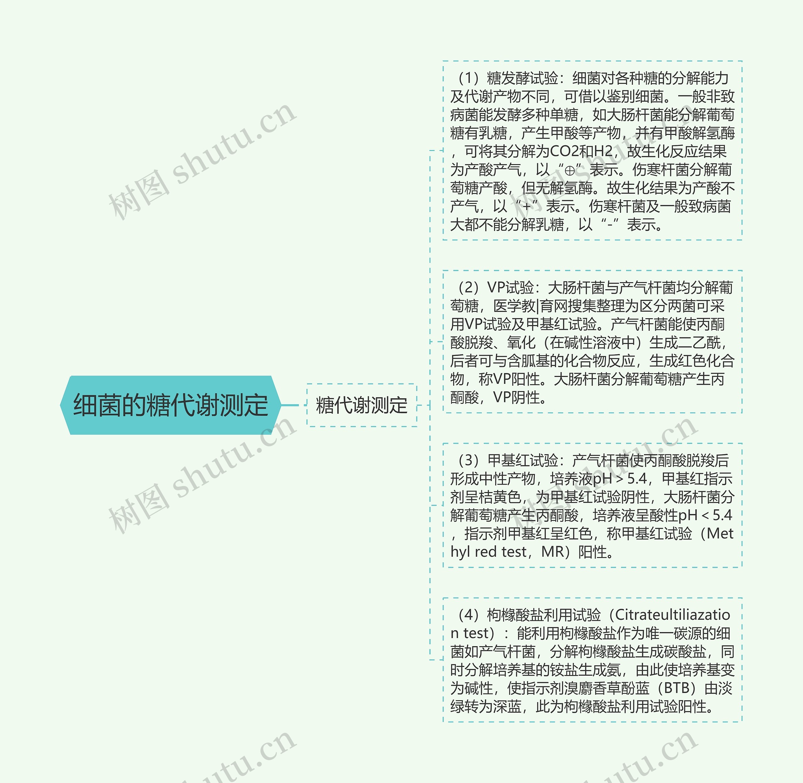细菌的糖代谢测定思维导图高清图 细菌的糖代谢测定思维导图