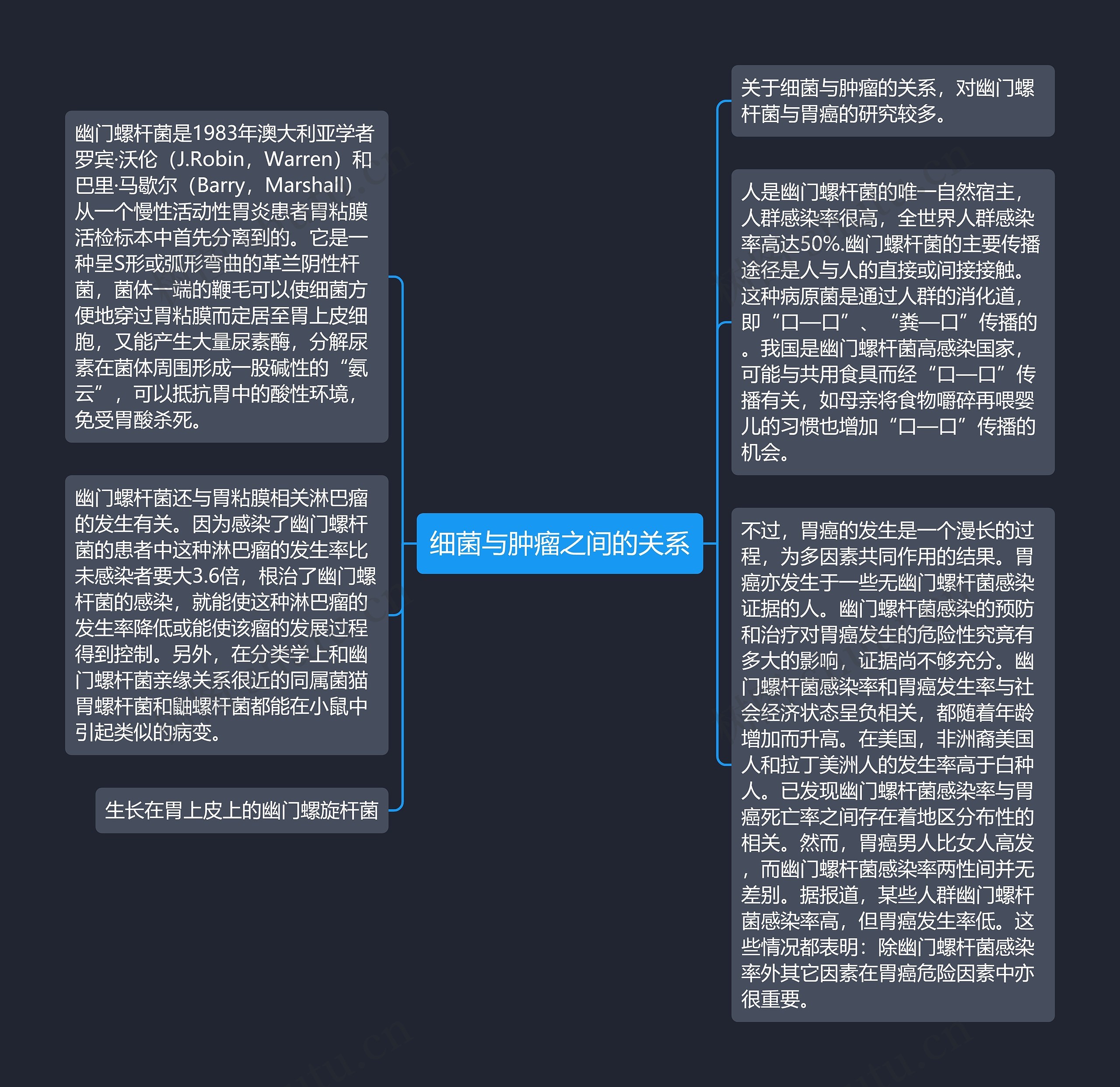 细菌与肿瘤之间的关系思维导图