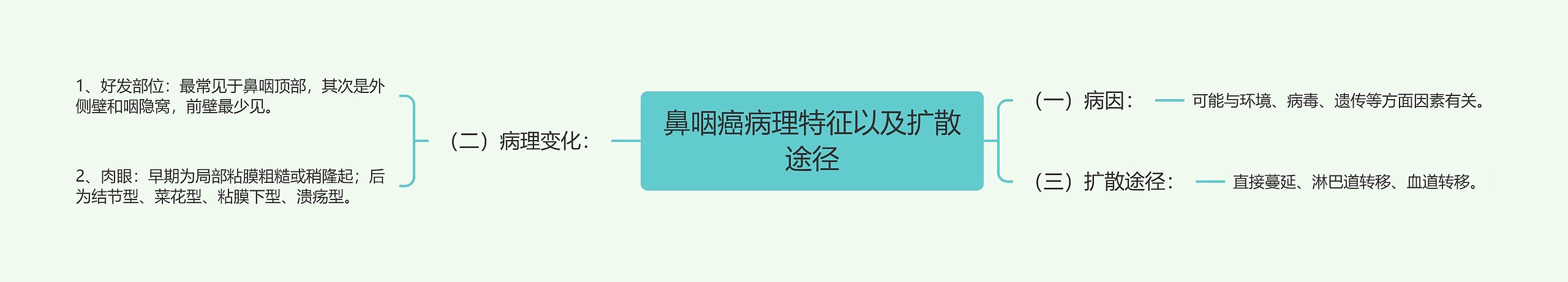 鼻咽癌病理特征以及扩散途径思维导图