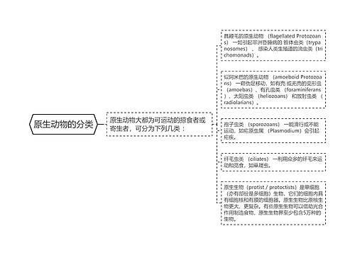 原生动物的分类
