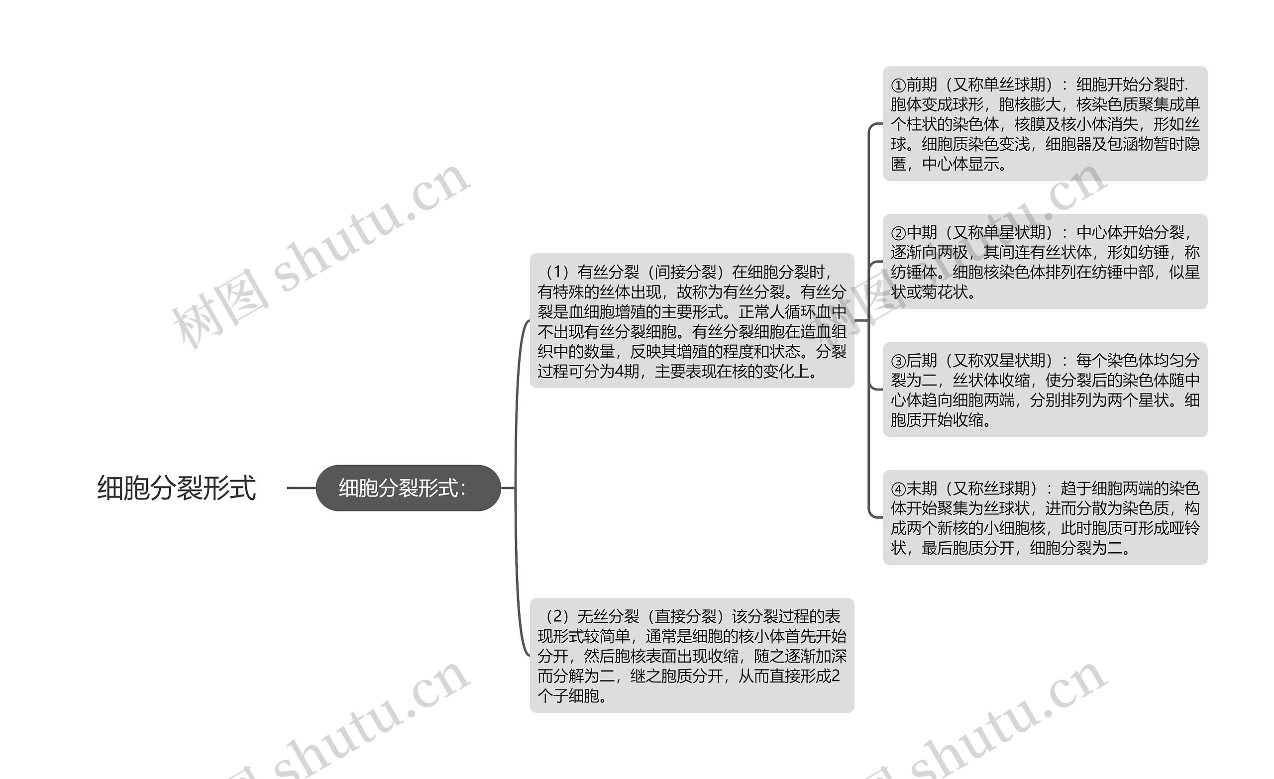 细胞分裂形式思维导图