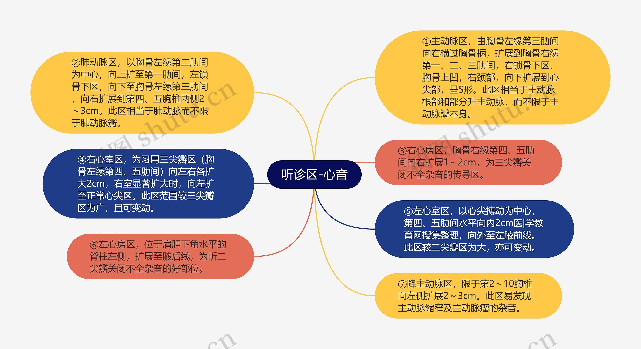 听诊区-心音思维导图