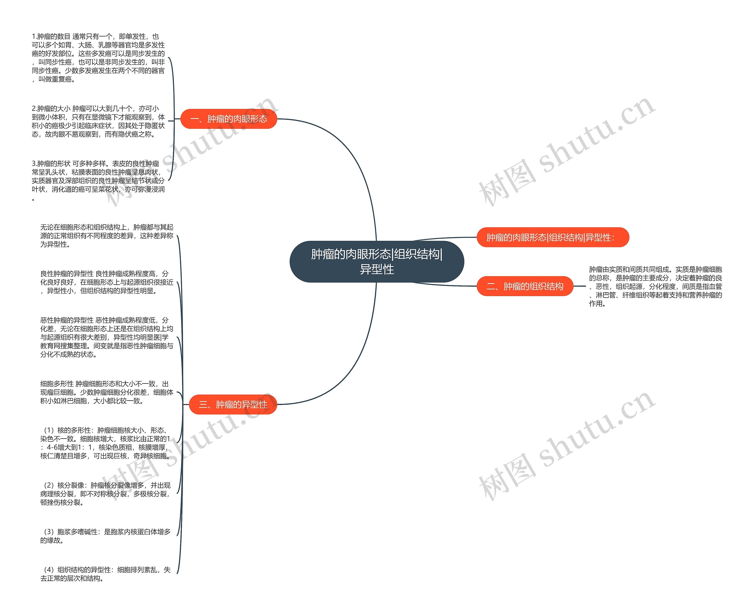 肿瘤的肉眼形态|组织结构|异型性思维导图