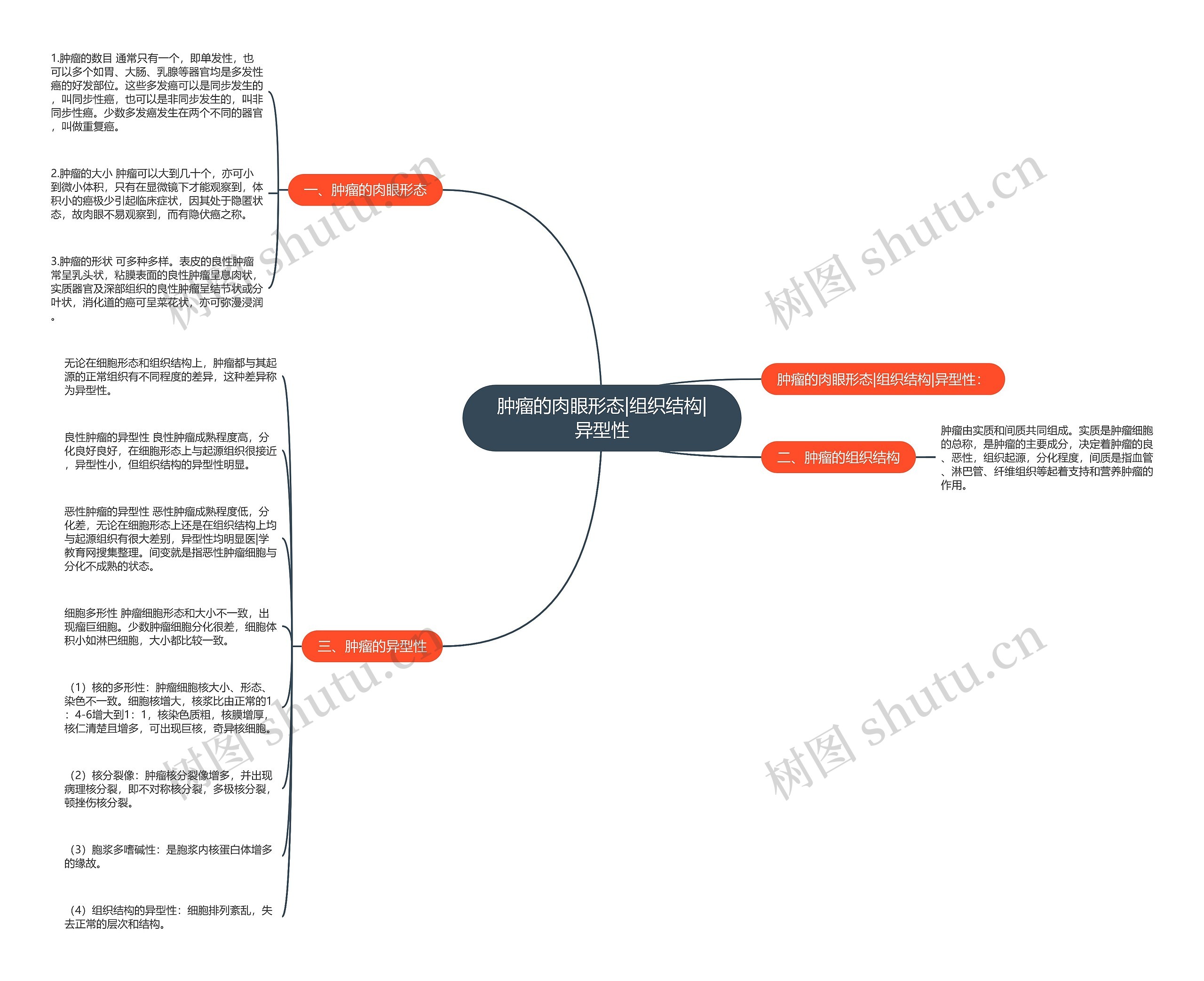 肿瘤的肉眼形态|组织结构|异型性 肿瘤的肉眼形态|组织结构|异型性
