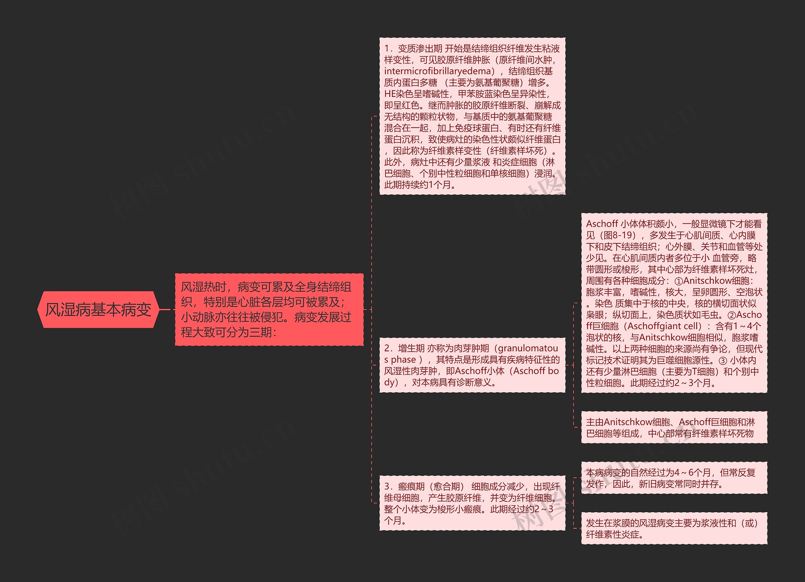 风湿病基本病变思维导图