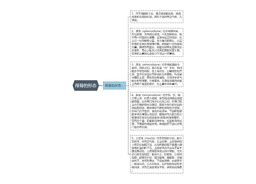 颅骨的形态