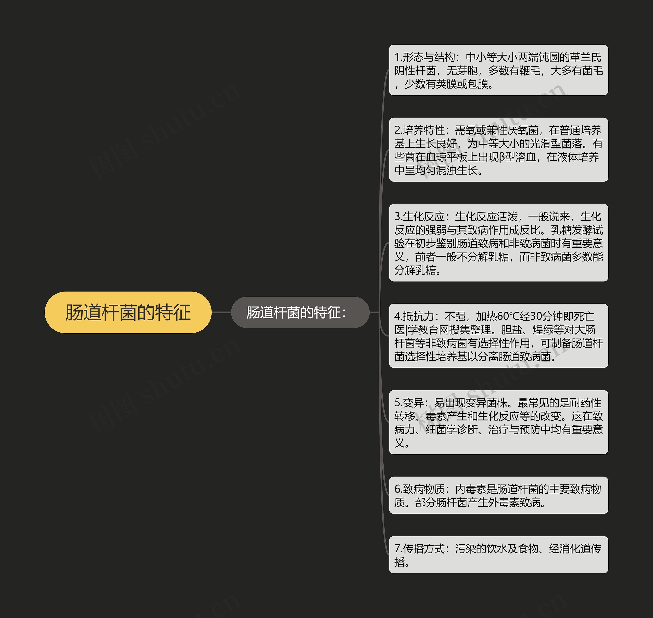 肠道杆菌的特征 肠道杆菌的特征