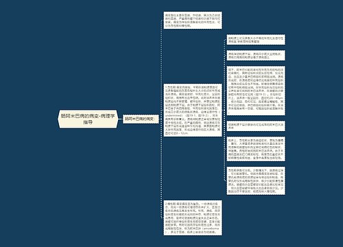 肠阿米巴病的病变-病理学指导