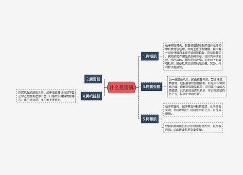 什么是腭肌
