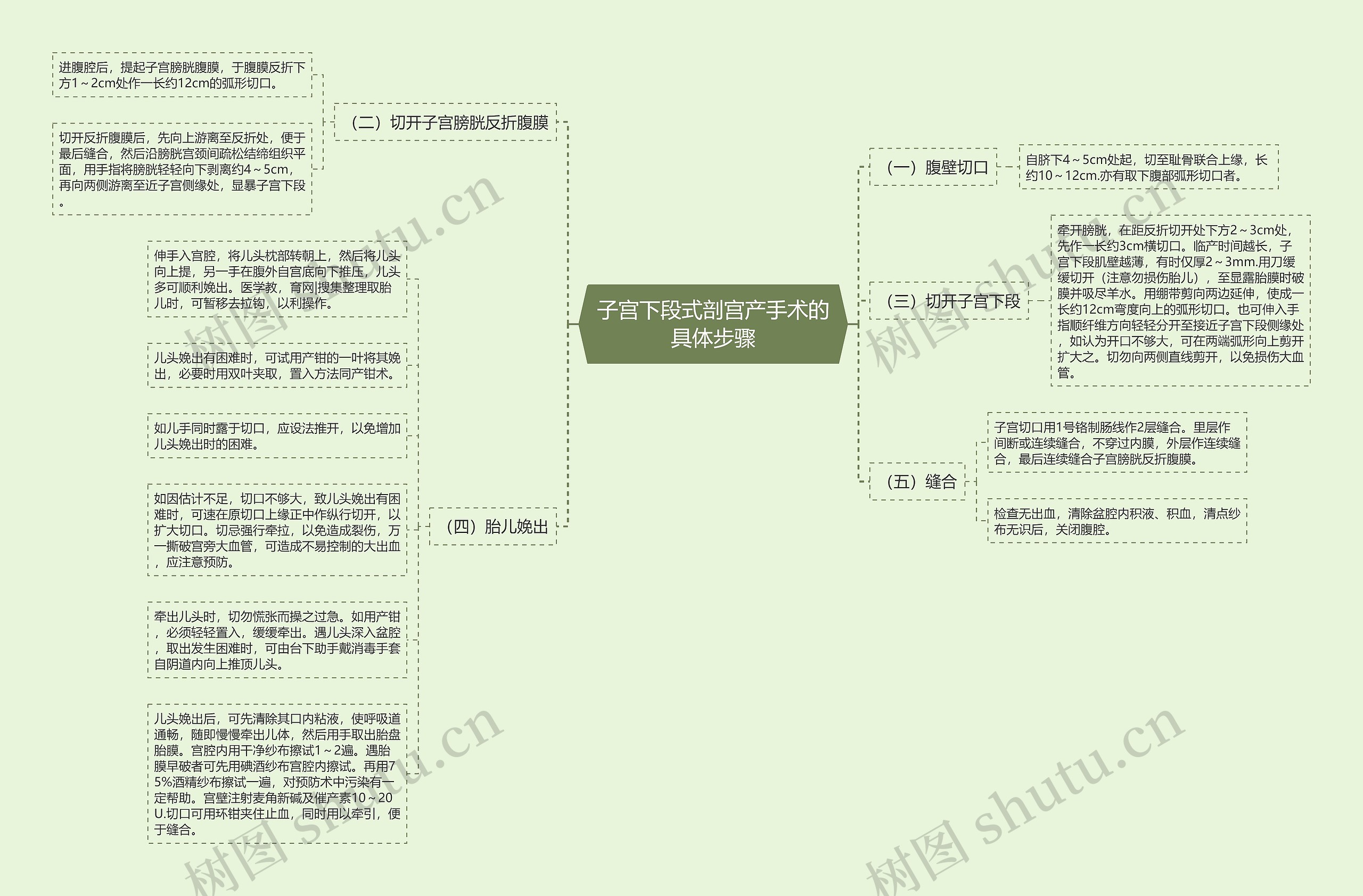 子宫下段式剖宫产手术的具体步骤思维导图