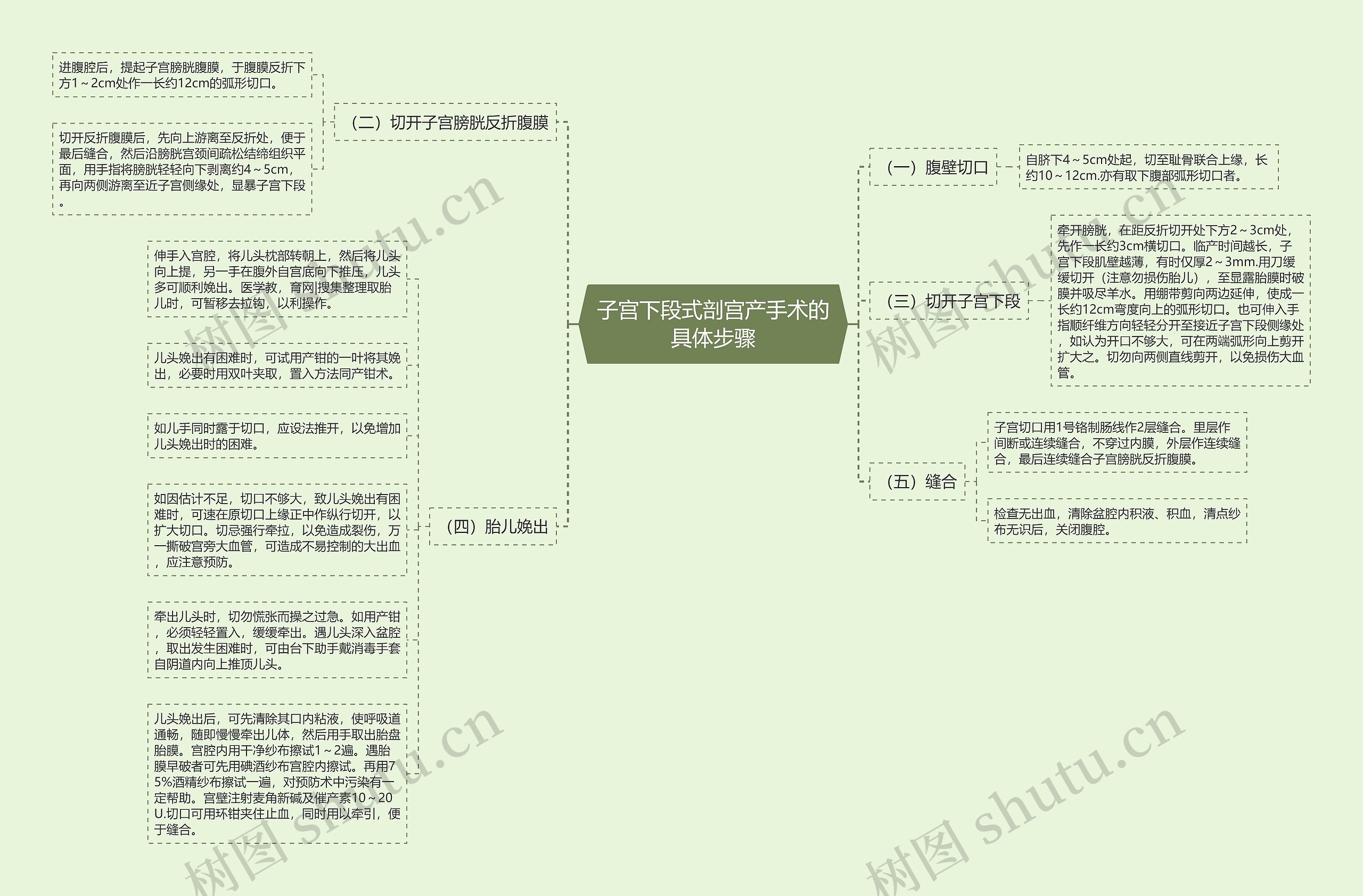 子宫下段式剖宫产手术的具体步骤 子宫下段式剖宫产手术的具体步骤