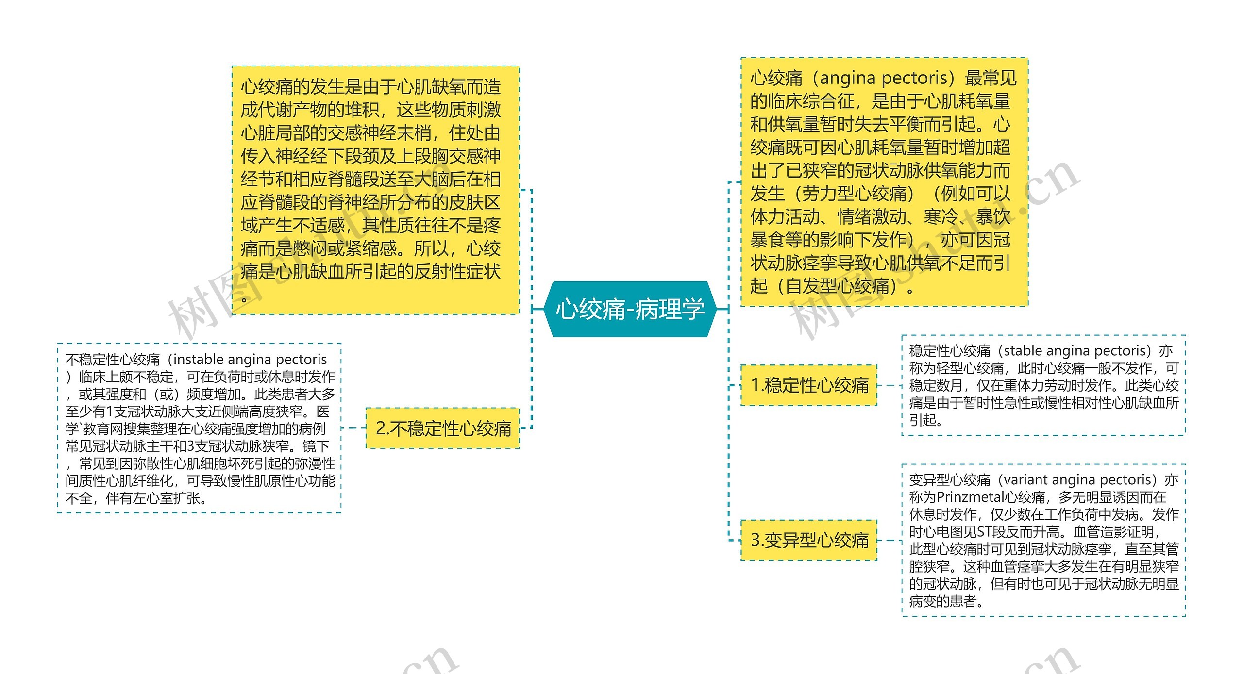 心绞痛-病理学思维导图