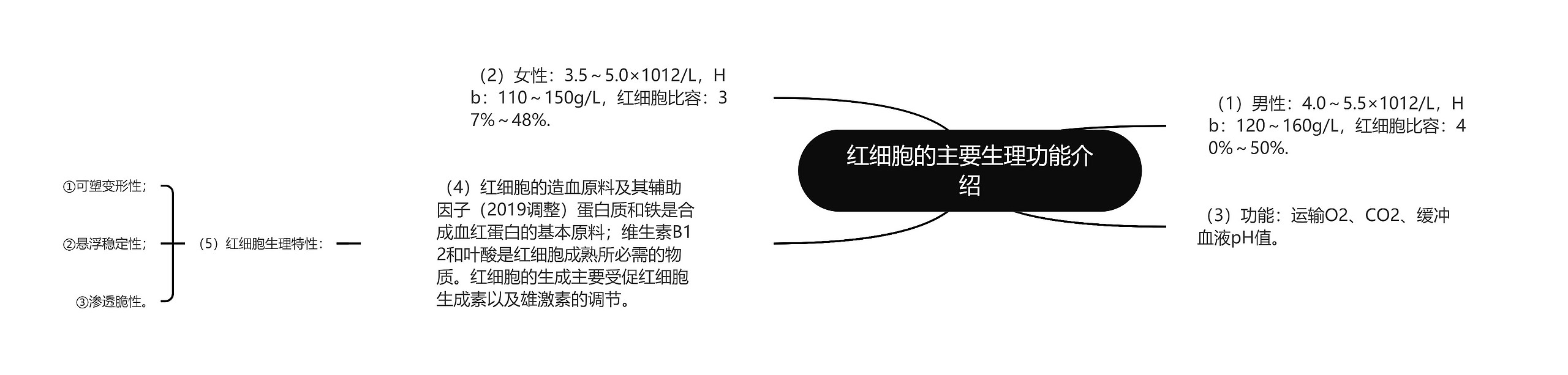 红细胞的主要生理功能介绍思维导图