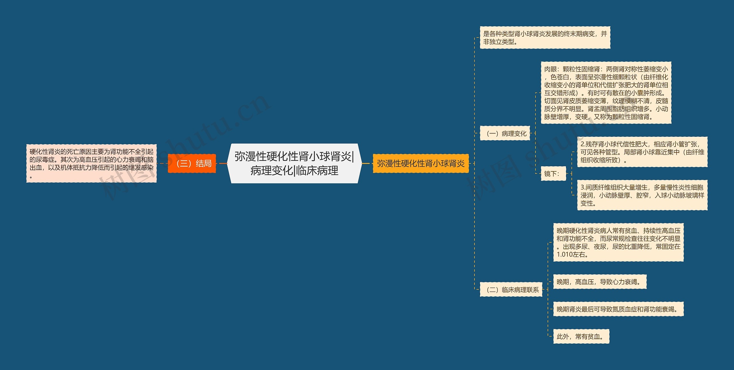 弥漫性硬化性肾小球肾炎|病理变化|临床病理