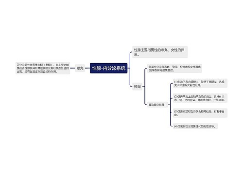 性腺-内分泌系统