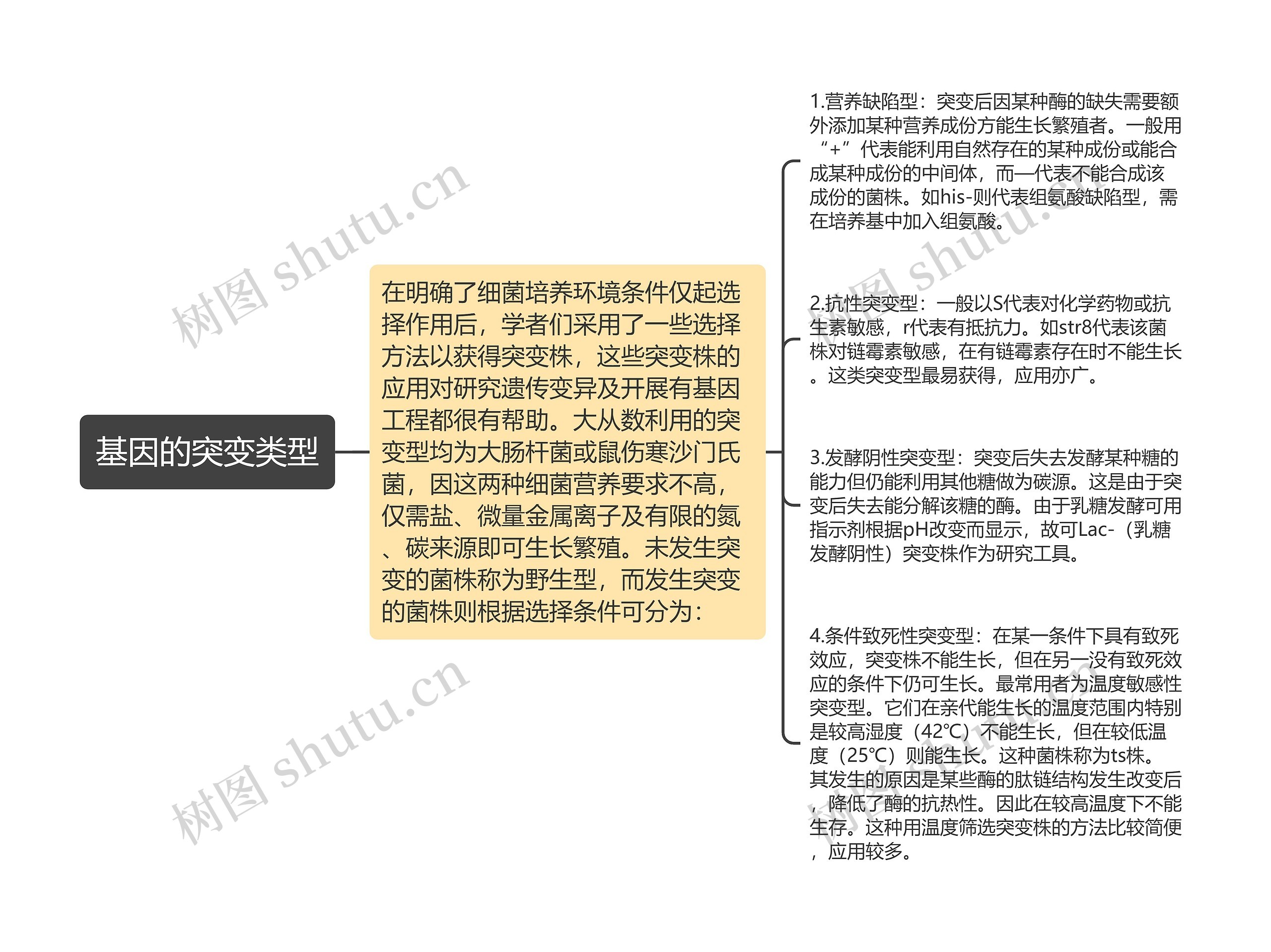 基因的突变类型