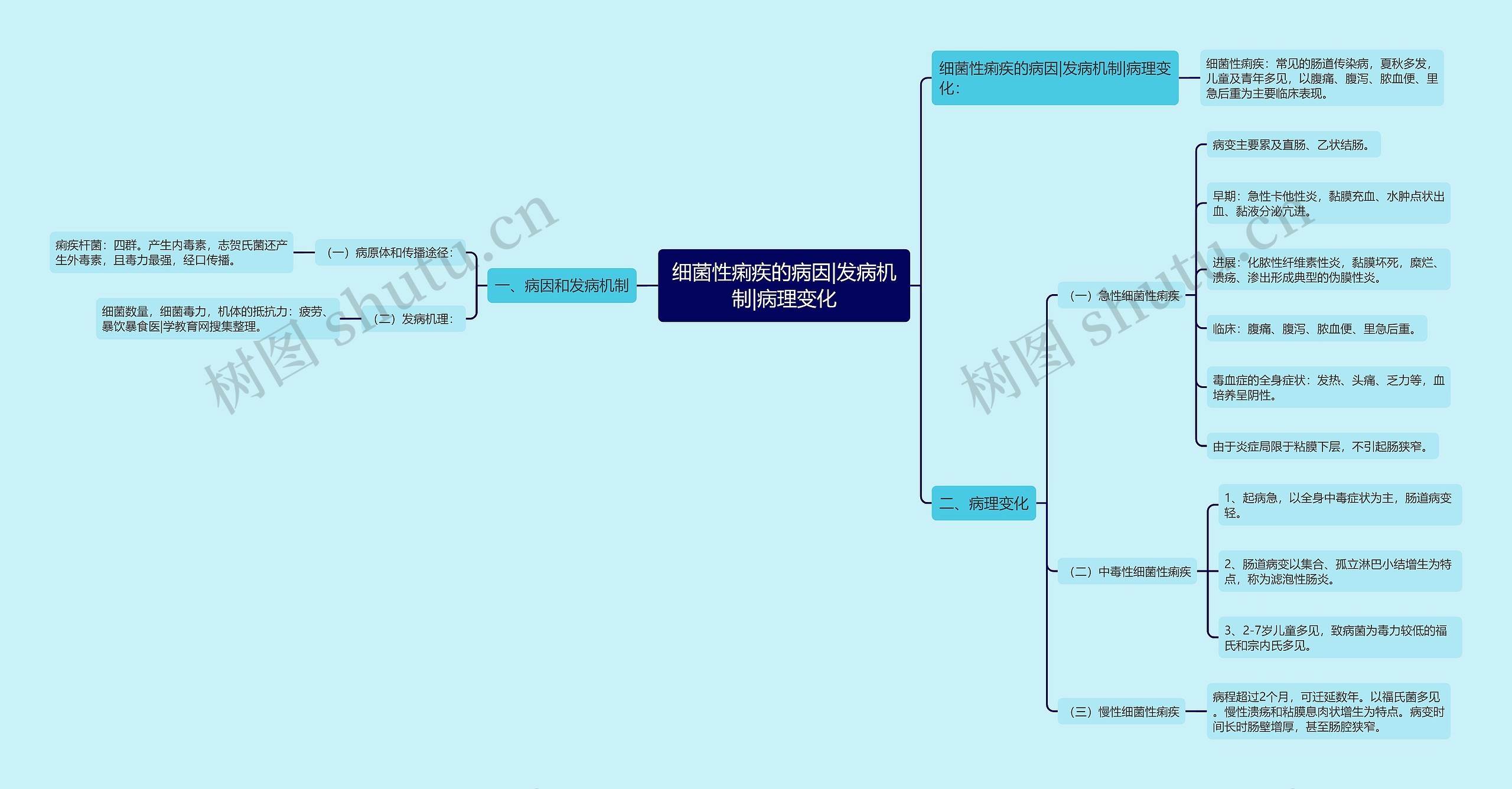 细菌性痢疾的病因|发病机制|病理变化 细菌性痢疾的病因|发病机制|病理变化