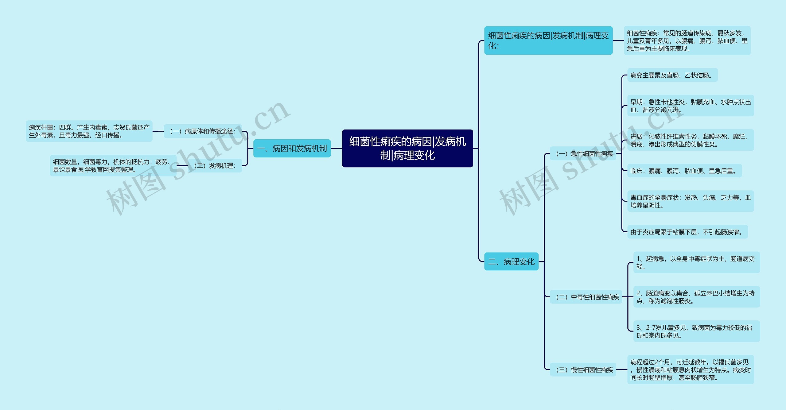 细菌性痢疾的病因|发病机制|病理变化思维导图