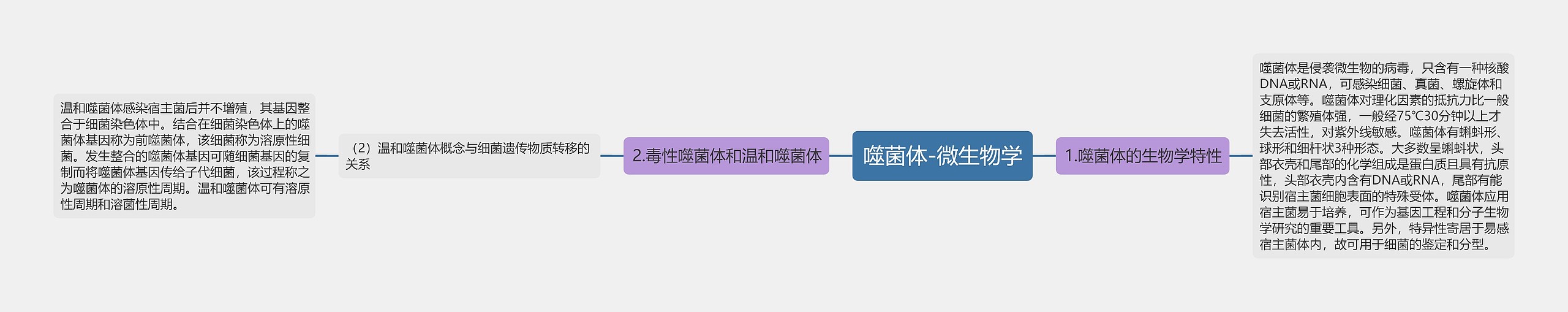 噬菌体-微生物学思维导图