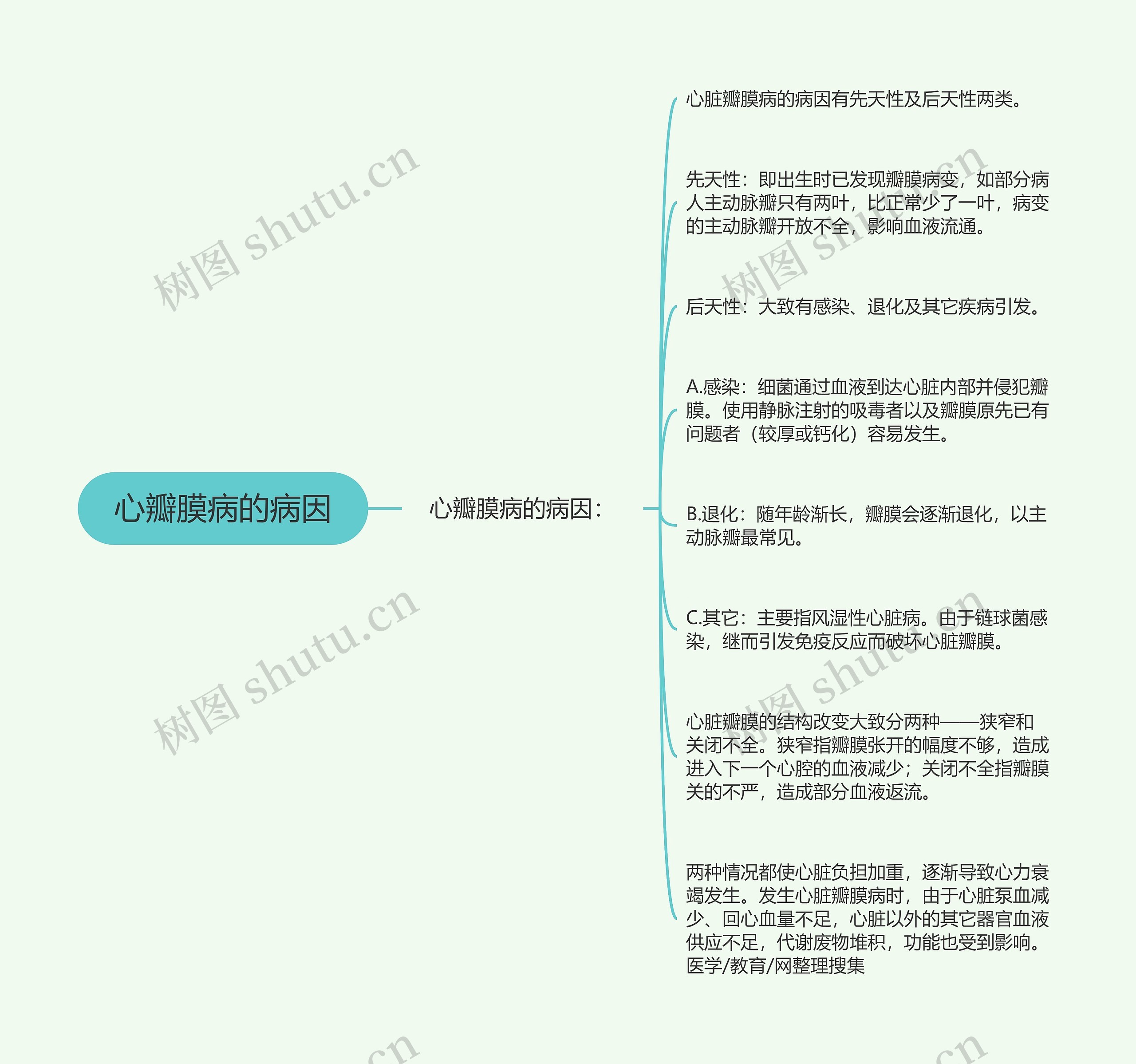 心瓣膜病的病因 心瓣膜病的病因