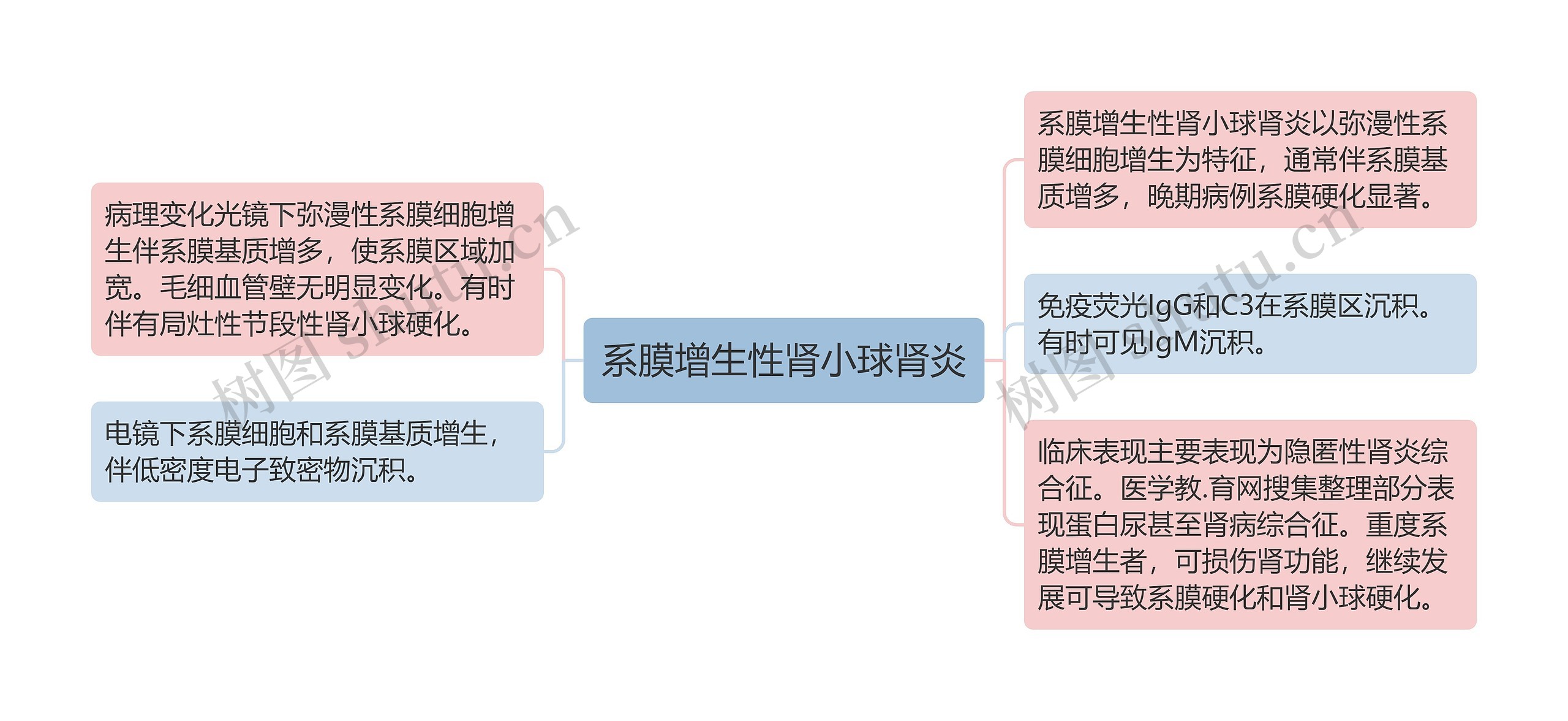 系膜增生性肾小球肾炎思维导图