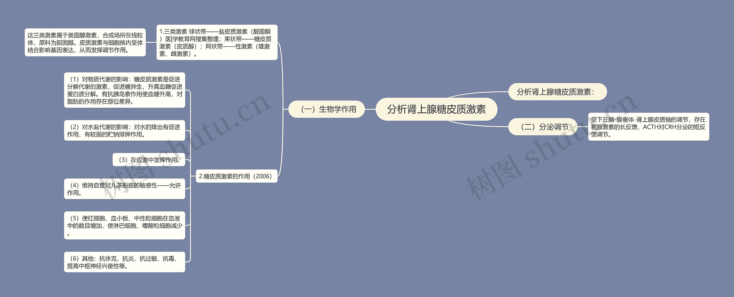 分析肾上腺糖皮质激素思维导图