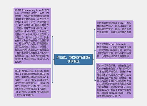 肺血管、淋巴和神经的解剖学简述