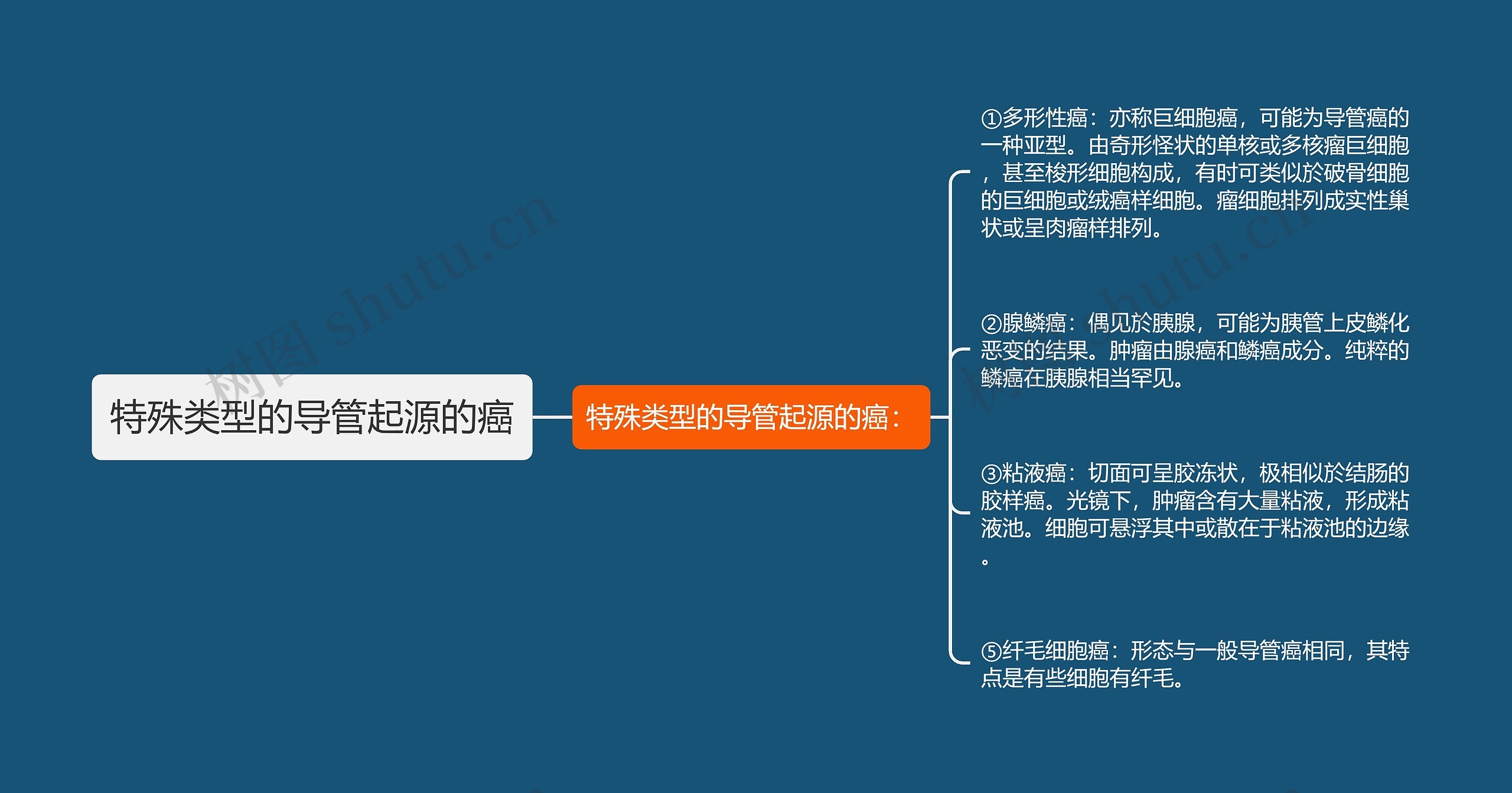 特殊类型的导管起源的癌