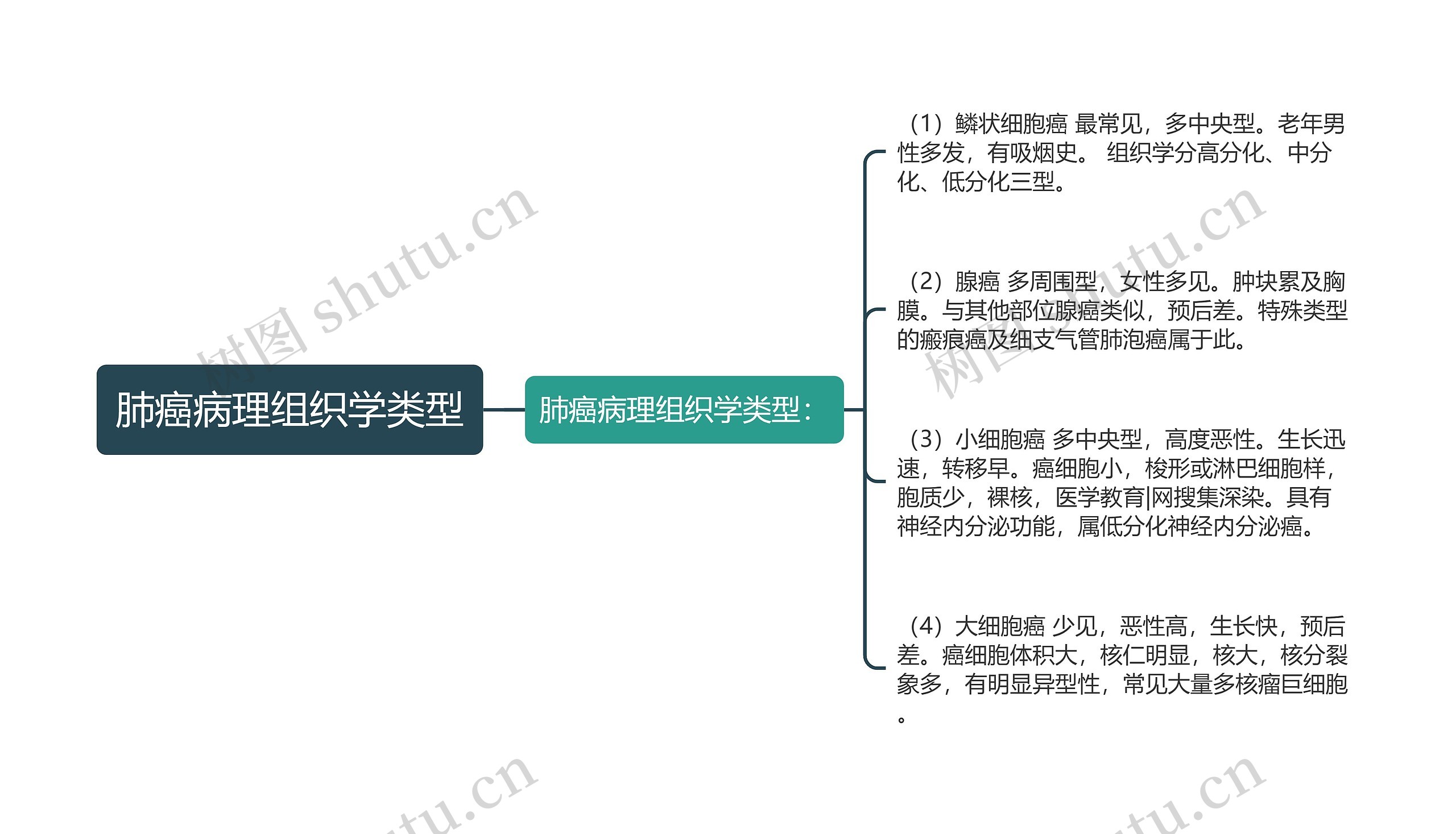 肺癌病理组织学类型思维导图