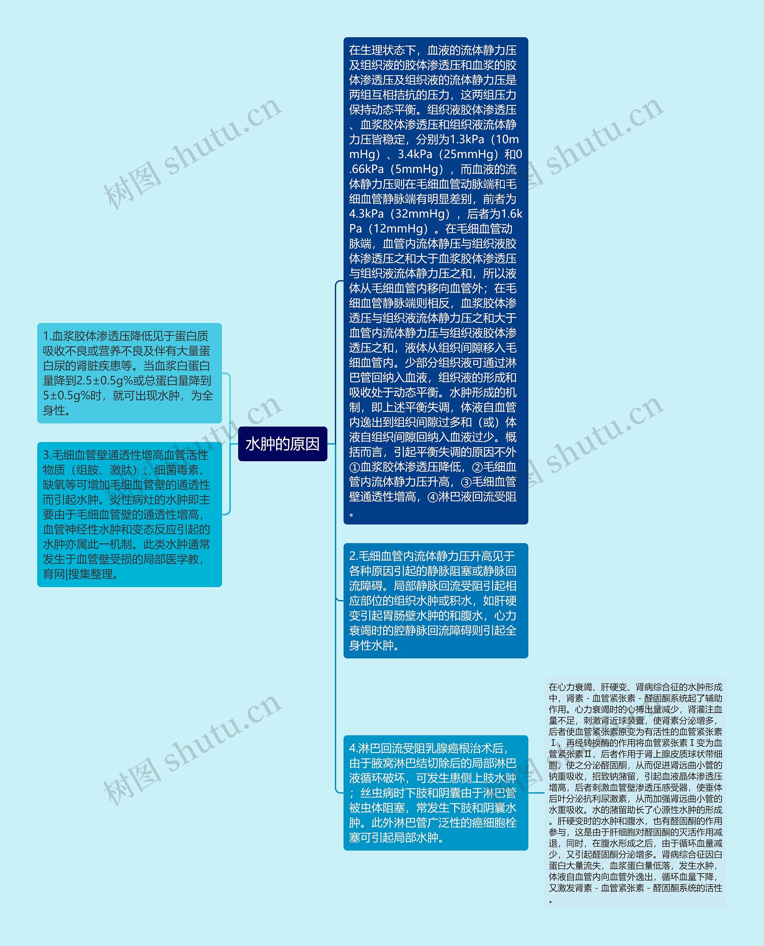 水肿的原因思维导图