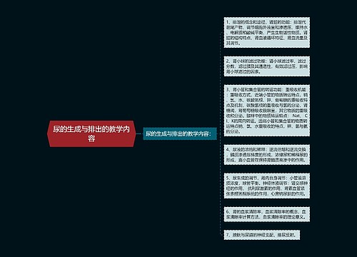 尿的生成与排出的教学内容