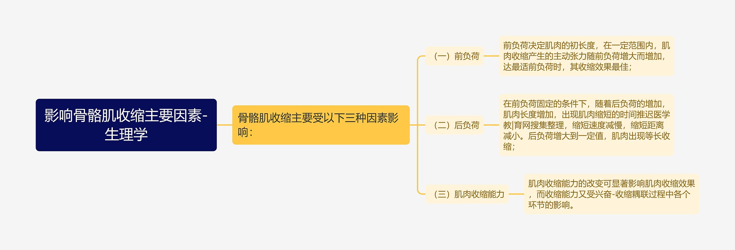 影响骨骼肌收缩主要因素-生理学思维导图