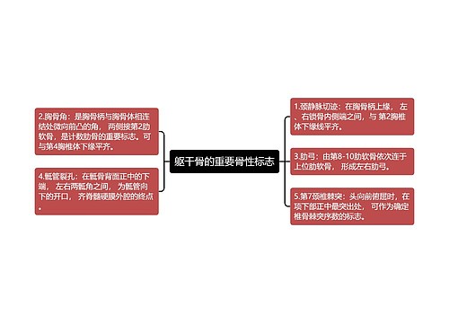 躯干骨的重要骨性标志