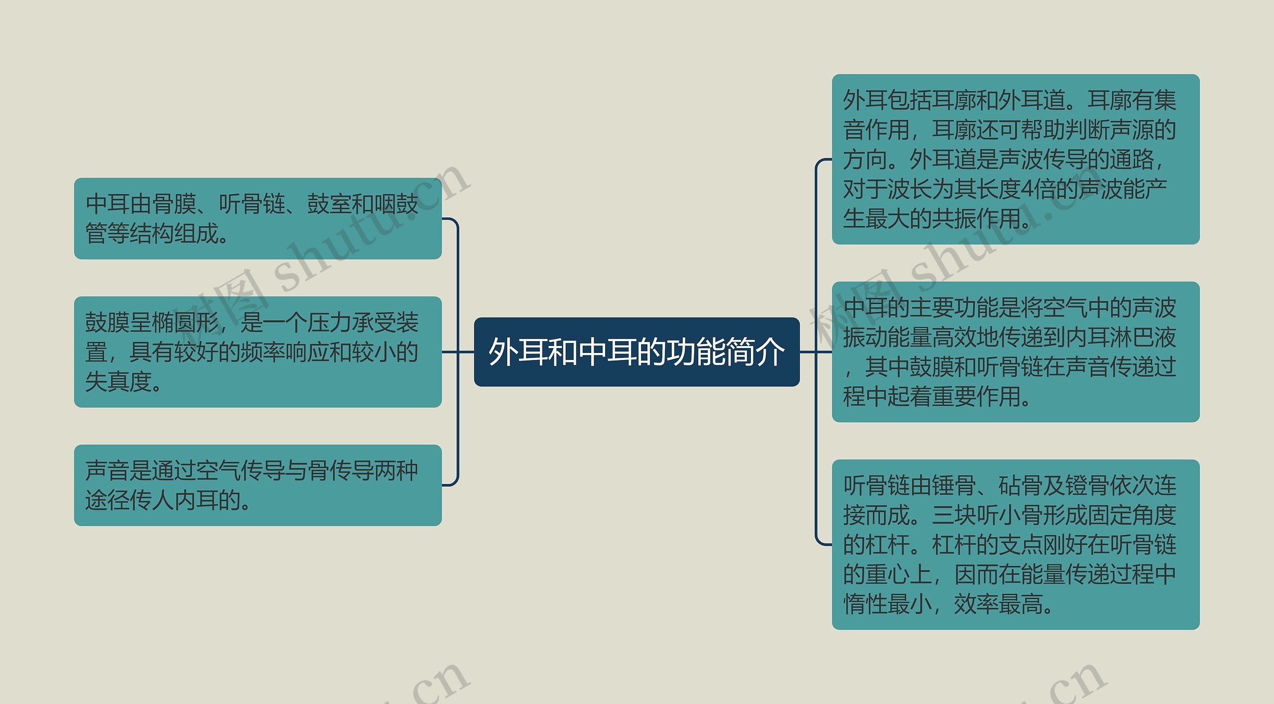 外耳和中耳的功能简介思维导图