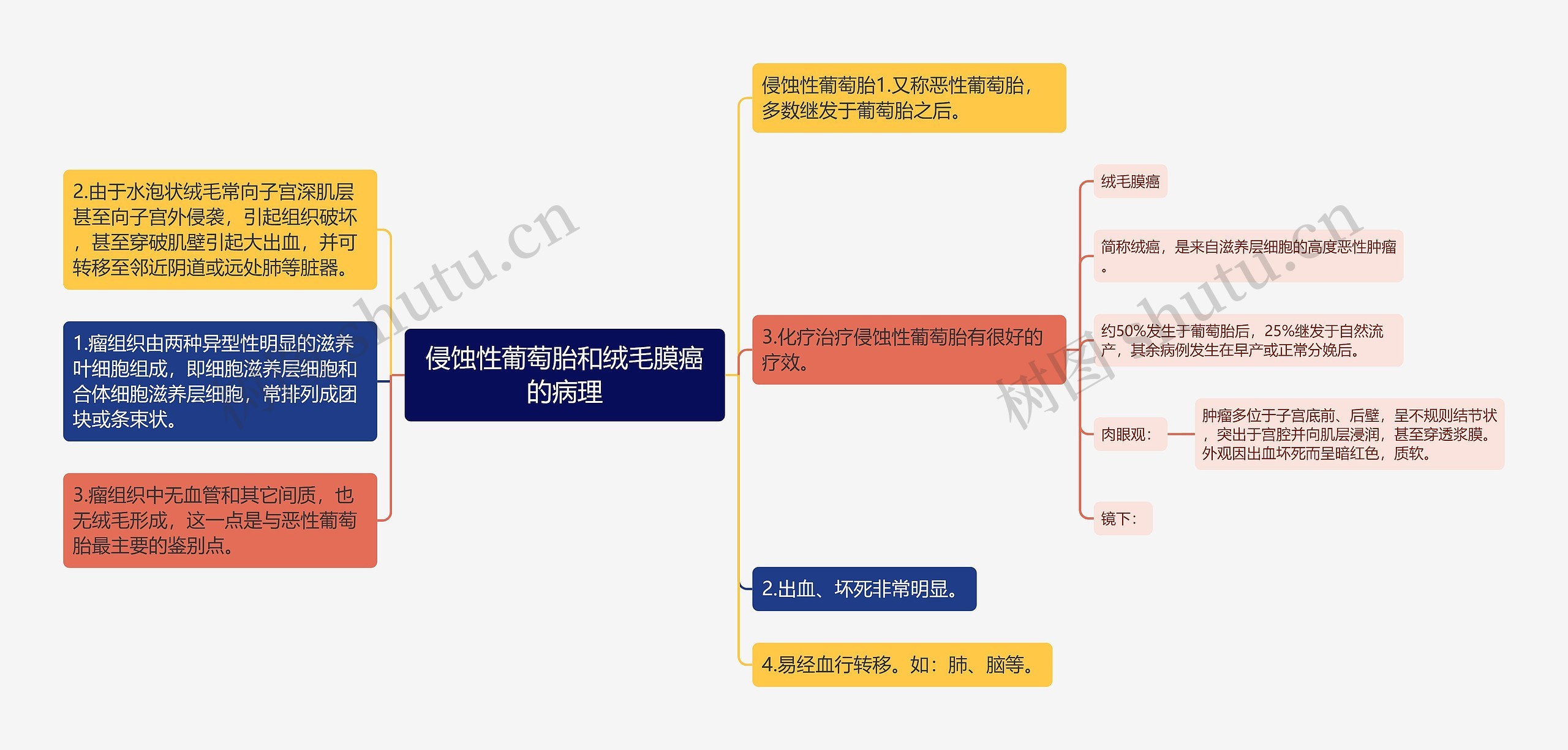 侵蚀性葡萄胎和绒毛膜癌的病理思维导图