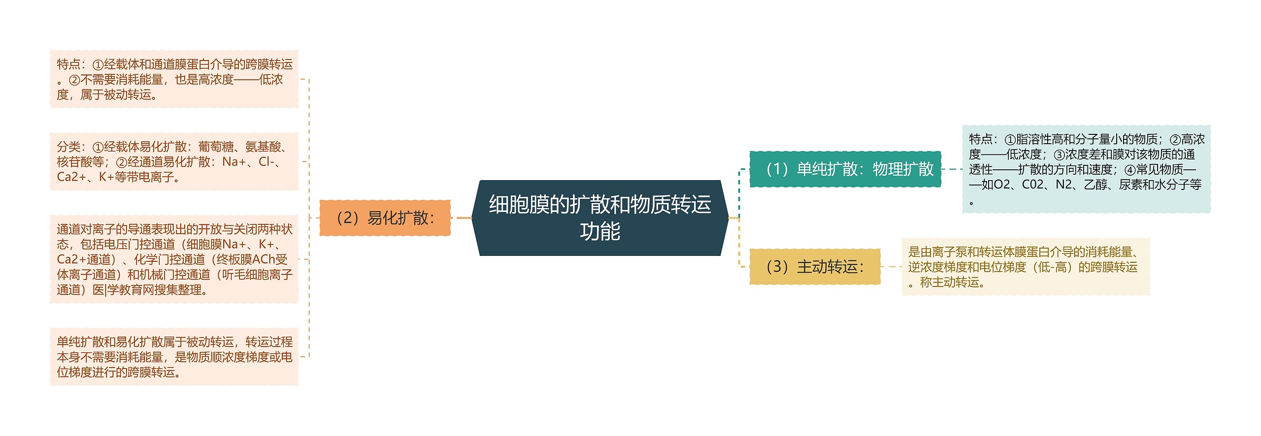 细胞膜的扩散和物质转运功能思维导图